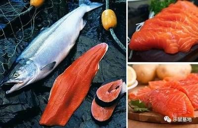 哪里有批發(fā)銀龍魚苗的地方啊 銀龍魚魚苗批發(fā)