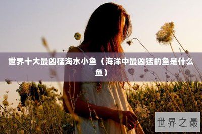 魚缸養魚需要什么設備好（魚缸養魚三大要素）