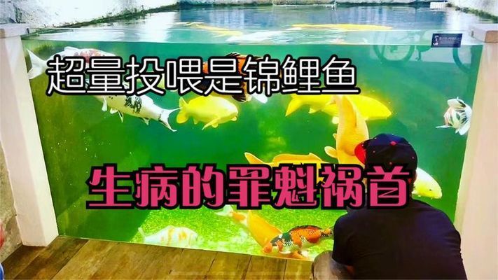 魚缸批發(fā)價(jià)格表及圖片（魚缸廠家批發(fā)哪最便宜）