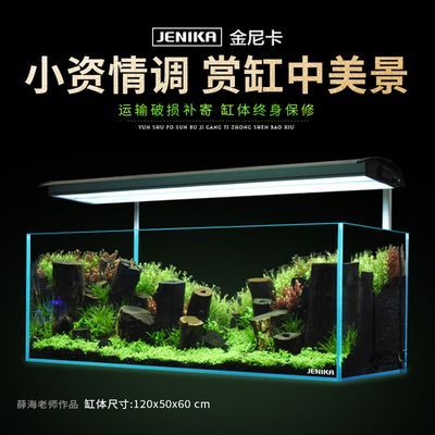 龍魚麻藥（祥龍Nika），龍魚麻藥對龍魚健康的影響