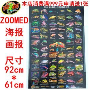 龍魚進貨渠道有哪些種類（如何選擇龍魚進貨渠道）