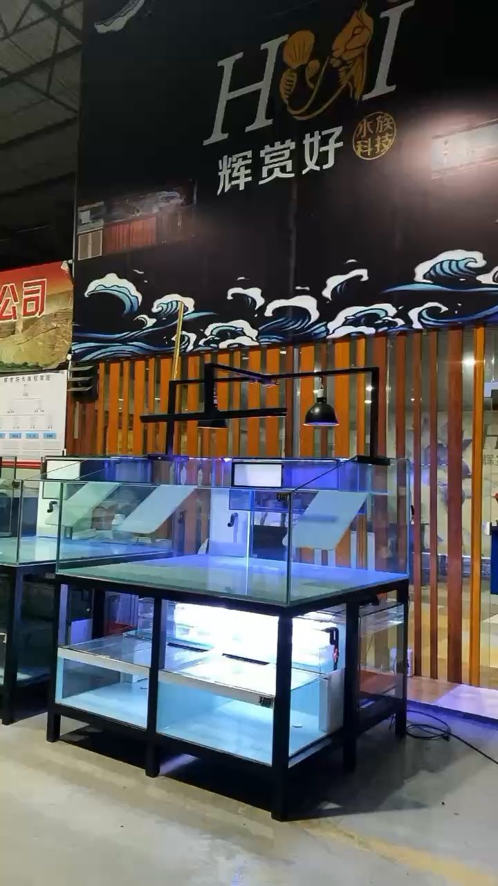 魚缸水面有白色泡沫的原因有哪些（魚缸水面有白色泡沫的原因有哪些呢）