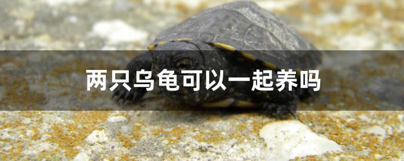 濰坊做魚缸的地方在哪個位置啊多少錢（濰坊做魚缸的地方在哪個位置啊多少錢?。? title=