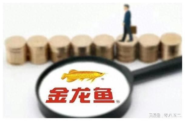金龍魚紀(jì)錄片