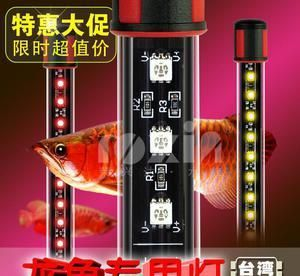 龍魚燈一直開著對龍魚上色有幫助嗎，龍魚燈對龍魚上色有幫助嗎
