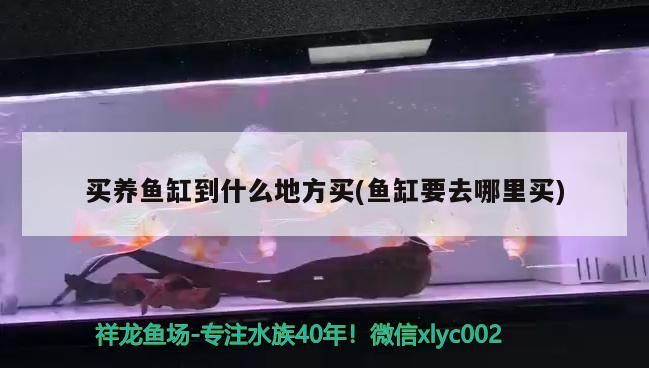 北京魚缸造景上門安裝(北京魚缸造景上門安裝電話)