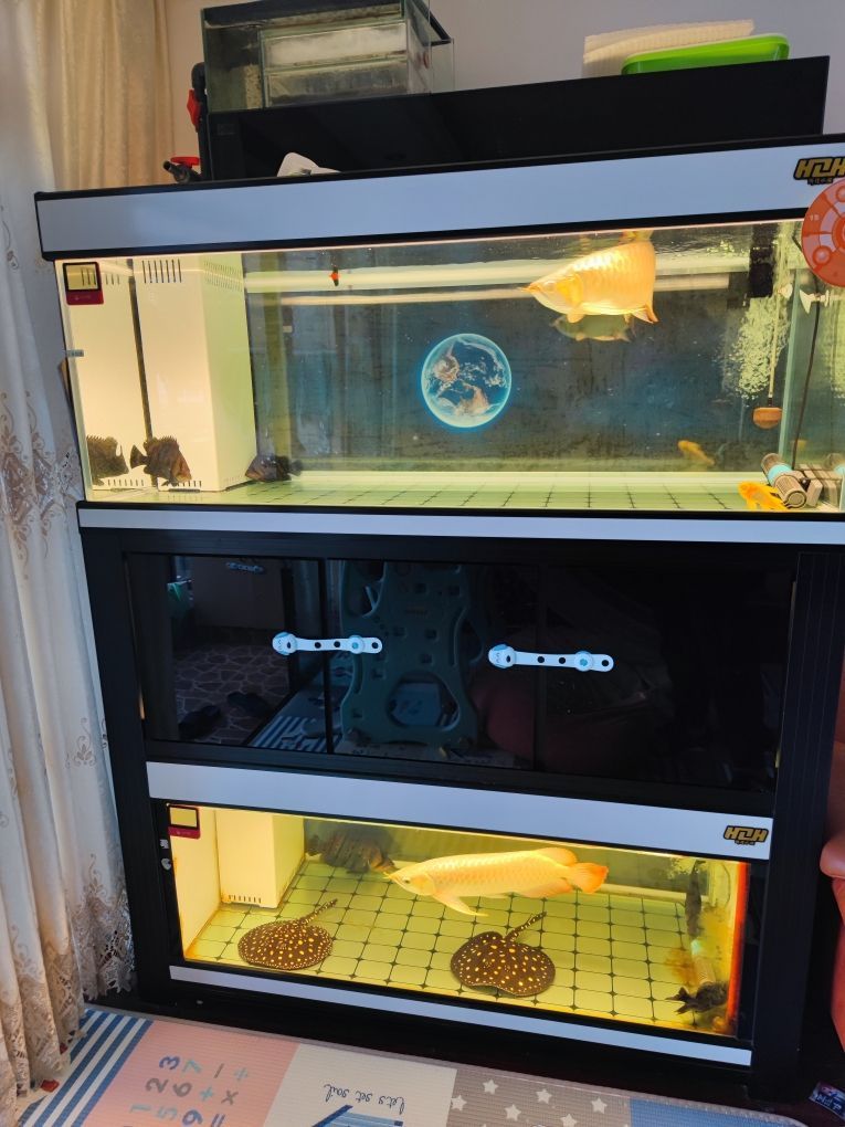 金鉆魚缸配件圖片（金鉆水族箱）