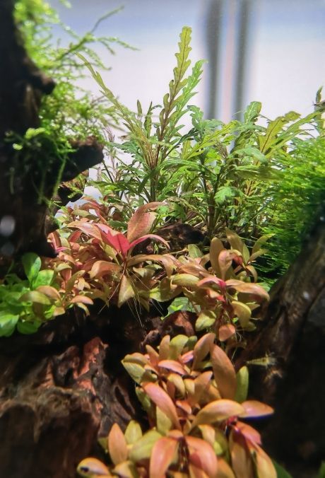 成都在哪兒做魚缸最好的廠家 成都定做魚缸廠家