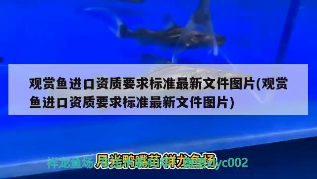 重慶哪里有賣魚缸抽水泵的實體店 重慶市水泵批發市場