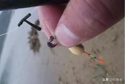 魚缸背景貼紙哪里有賣呀圖片（魚缸背景紙貼什么好啊）