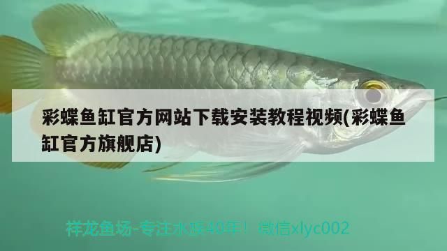包頭水族批發(fā)市場(chǎng)地址電話號(hào)碼是多少(包頭水族批發(fā)市場(chǎng)地址電話號(hào)碼是多少啊)