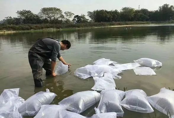 龍魚飼養(yǎng)的溫度條件是多少度：龍魚飼養(yǎng)的溫度條件全解析，打造理想生存環(huán)境