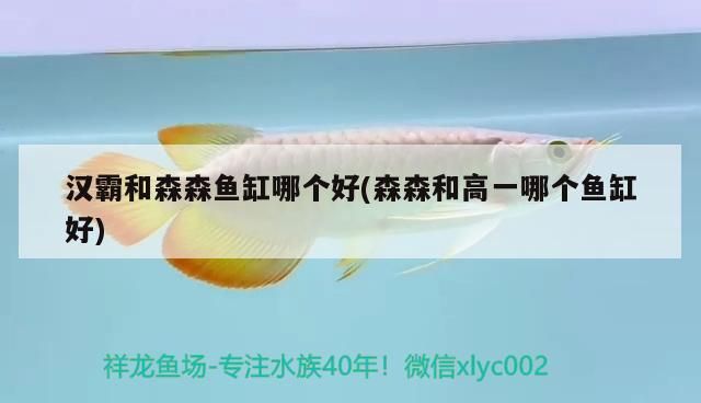 貴陽魚缸批發市場在哪里進貨的(貴陽魚缸批發市場在哪里進貨的呢)