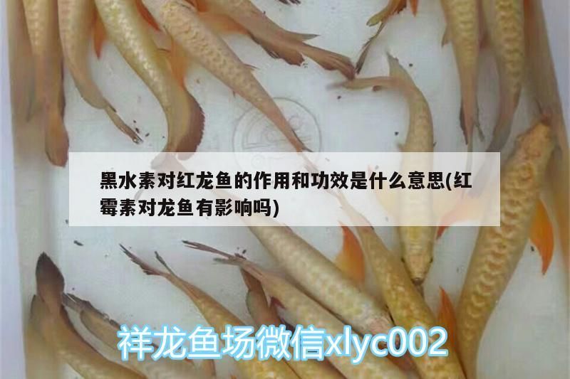 魚缸處理方法有哪些種類的 魚缸處理方法有哪些種類的魚