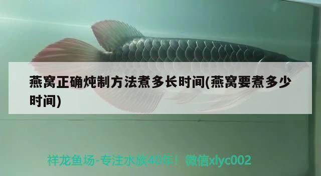 實木魚缸品牌（中式實木魚缸）