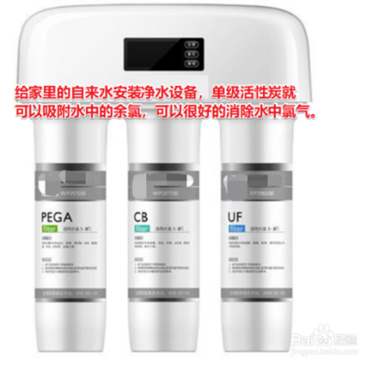 青龍魚與金龍魚的區別在哪里圖片：青龍魚跟金龍怎么區分 青龍魚與金龍魚的區別在哪里圖片：青龍魚跟金龍怎么區分 龍魚百科 第2張