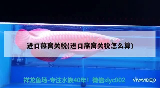 黃金貓是什么魚圖片大全視頻 黃金貓魚好養嗎