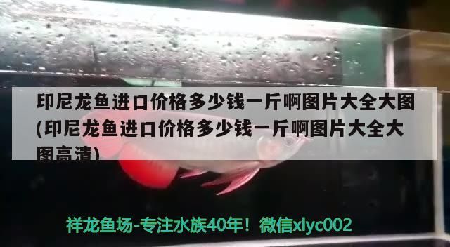 魚缸玻璃劃痕怎么處理怎么修復 魚缸玻璃劃痕有安全隱患嗎