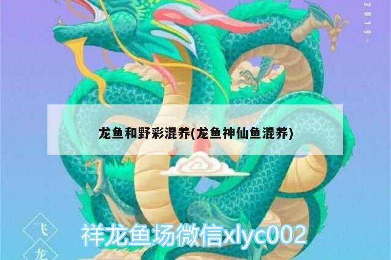 怎樣才能降低魚缸里的PH值（怎么降低魚缸的ph值）