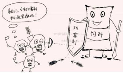 龍魚不吃東西是什么原因引起的呢