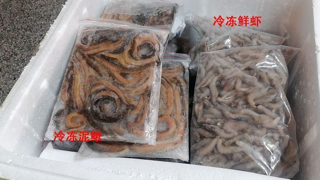 湖州觀賞魚市場怎么樣啊（湖州哪里有水族館）