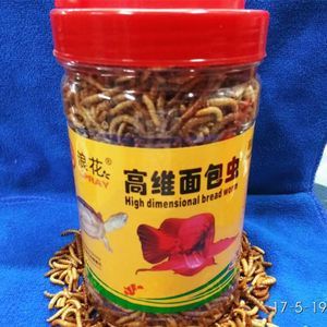 龍魚吃面包蟲干的好還是活的好，龍魚吃面包蟲干和活的好還是活的好，飼養者應該注意什么