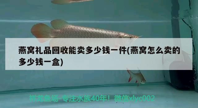 長治魚缸配件批發市場地址在哪里啊(長治魚缸配件批發市場地址在哪里啊多少錢)