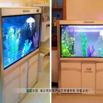 龍魚缸上濾效果怎么樣？：龍魚缸上濾效果怎么樣