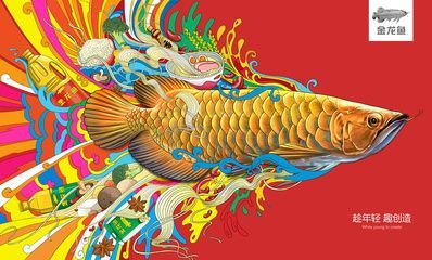 金龍魚用什么壁紙好看，160個高質量的金龍魚壁紙適合自己的手機壁紙圖片素材