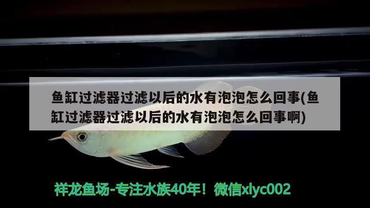 如何挑選小紅龍魚視頻講解圖片和視頻(如何挑選小紅龍魚視頻講解圖片和視頻教程)