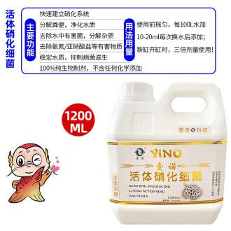 龍魚用酸奶好還是維他命好（養龍魚選擇酸奶還是維生素）