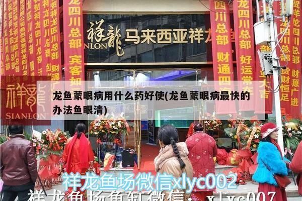 龍魚蒙眼病用什么藥好，龍魚蒙眼病的早期癥狀