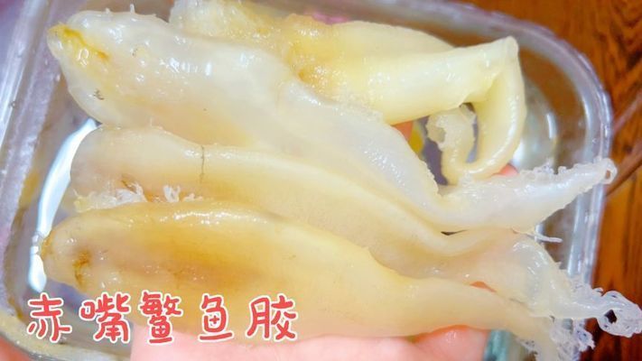 金龍魚膠泡發后容易爛怎么回事啊，如何正確泡發金龍魚膠