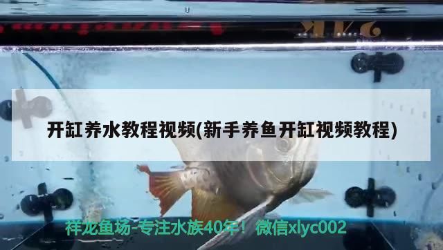 赤峰賣魚缸的地方在哪里 赤峰哪里可以做魚缸