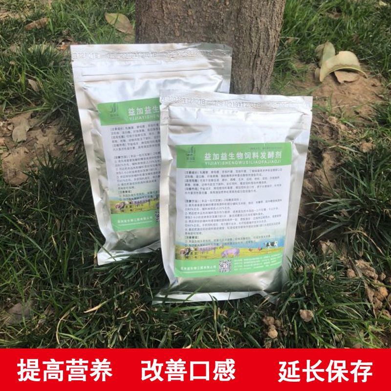 招財魚和龍魚哪個貴一點呢：招財魚與龍魚，誰更貴？一場水族市場的奢華對決