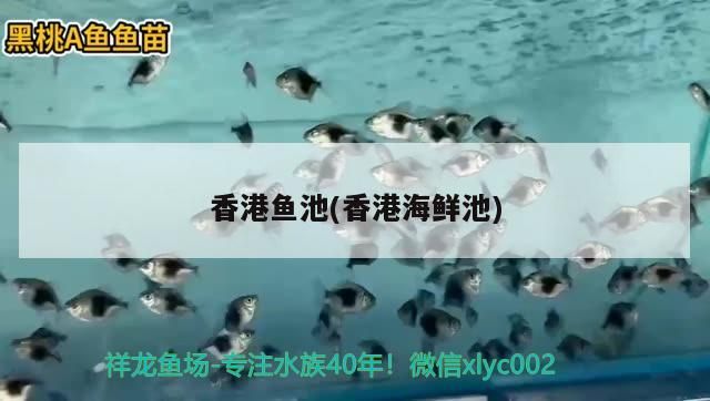 西寧魚(yú)缸批發(fā)市場(chǎng)在哪里進(jìn)貨便宜又好 西寧魚(yú)缸廠