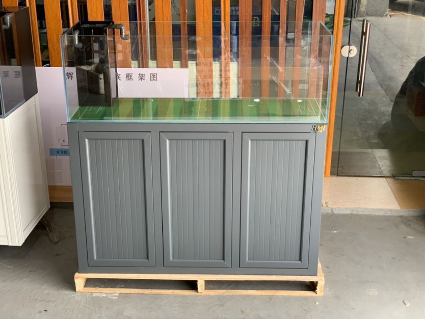 周口魚缸去哪里買便宜（周口觀賞魚市場）