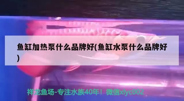 魚缸手動換水器多少錢 魚缸換水機好用嗎