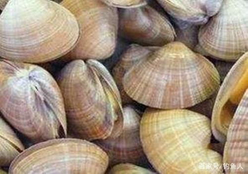 金龍魚(yú)估計(jì)能漲到多少斤重呢