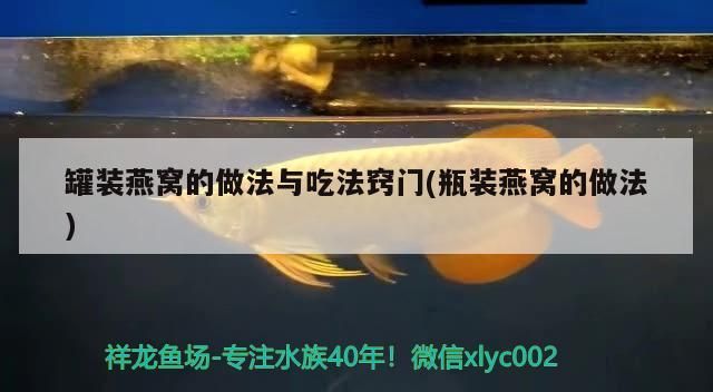 閩江龍魚缸怎么樣（閩江魚缸質(zhì)量怎么樣）