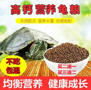 龍魚掉鱗正常嗎