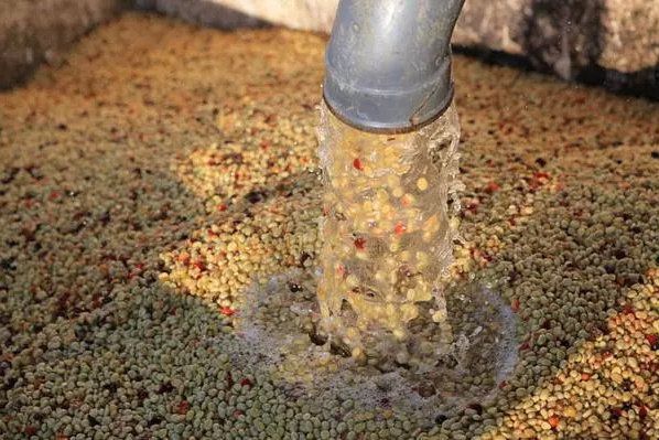 魚缸用放在有陽光的地方嗎好嗎（魚缸用放在有陽光的地方嗎好嗎）