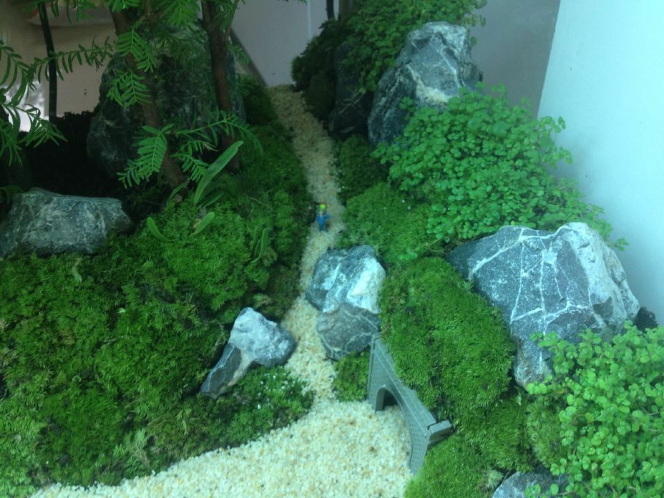 金龍魚能吃嗎有毒嗎（ 金龍魚能吃嗎有毒嗎能吃嗎）