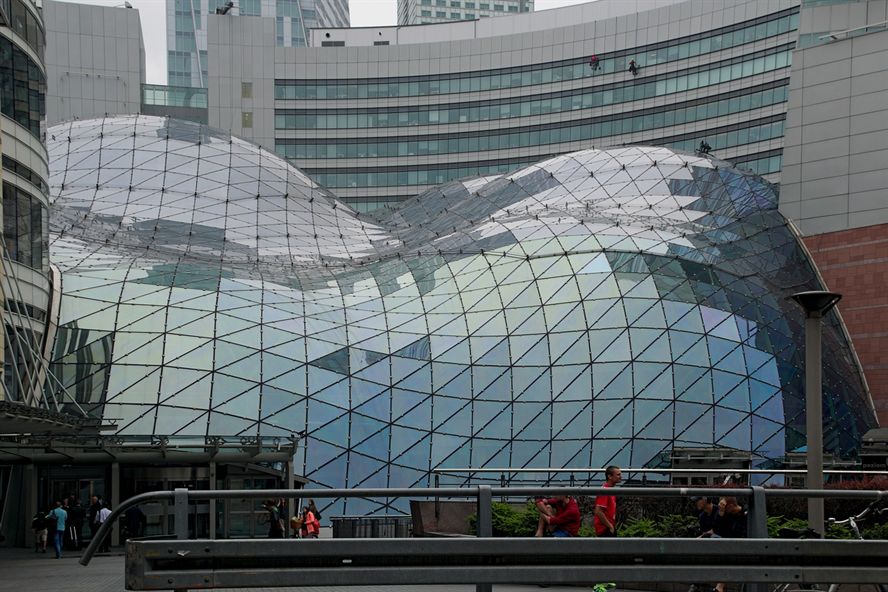 煙臺觀賞魚批發市場電話多少號(煙臺觀賞魚批發市場電話多少號碼)