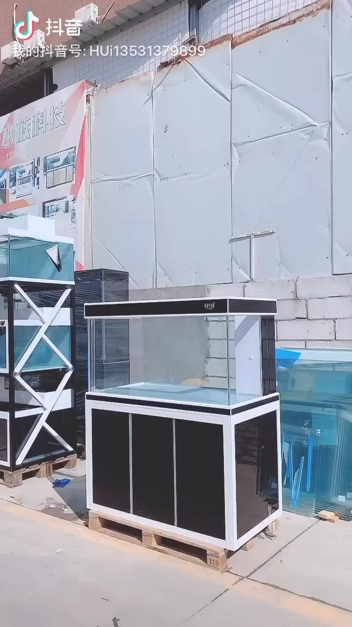 極品古典藍龍魚多少錢一條（古典龍魚跟藍底龍魚的區別）
