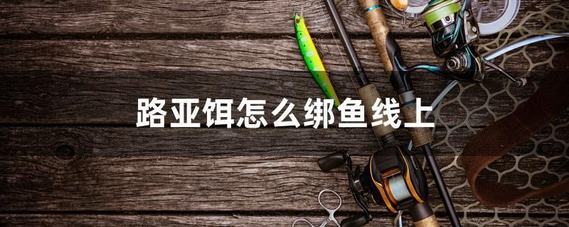 大慶魚缸上門回收電話號碼查詢(大慶魚缸上門回收電話號碼查詢地址)