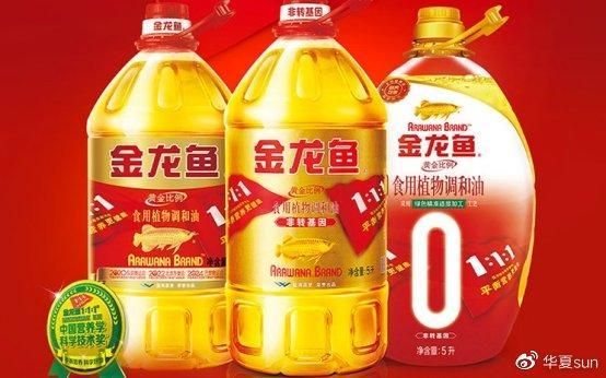 金龍魚有白色的嗎，如何鑒別高品質白金龍魚