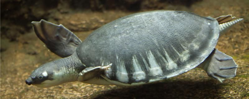水缸做魚缸視頻教程大全 做水缸 視頻