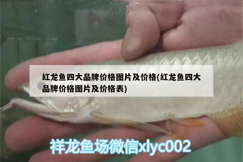 海沙魚缸造景圖片欣賞（海缸海沙）