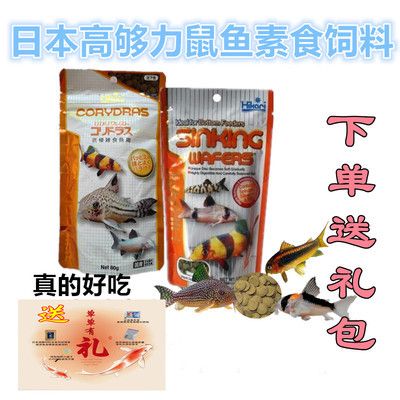 龍魚有點趴缸和張嘴( 龍魚有時候趴缸) 龍魚百科 第3張 龍魚有點趴缸和張嘴( 龍魚有時候趴缸) 龍魚有點趴缸和張嘴( 龍魚有時候趴缸) 龍魚百科 第3張